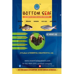 BOTTOMSAAF